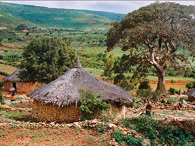 Paysage des hauts plateaux - Mohammed Torche