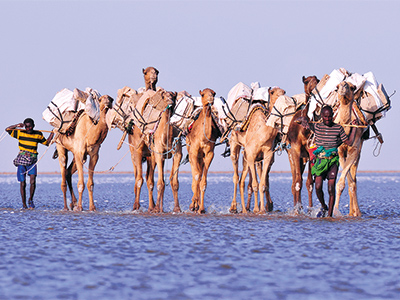 Afars transportant du sel - Pierre Emonet