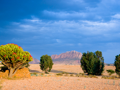 Paysage du Tigré - Mohammed Torche