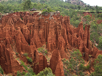 Le New-York Konso - Guillaume Petermann