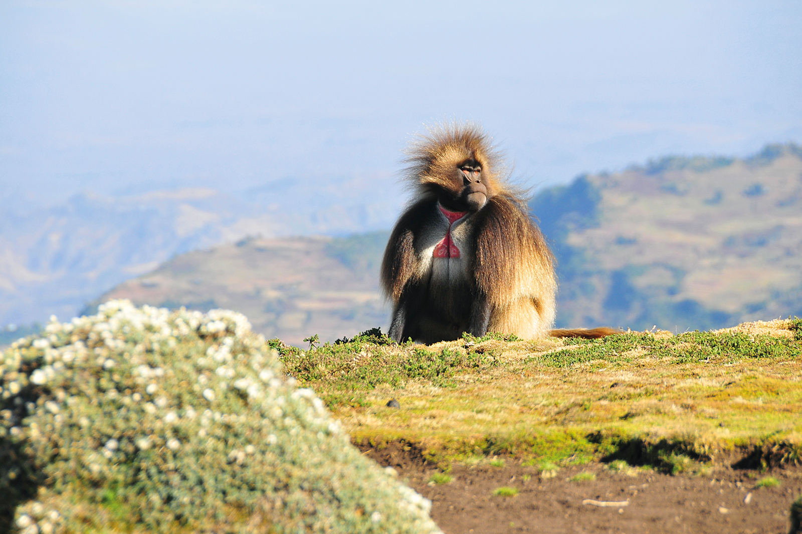Sphere Voyage Ethiopie